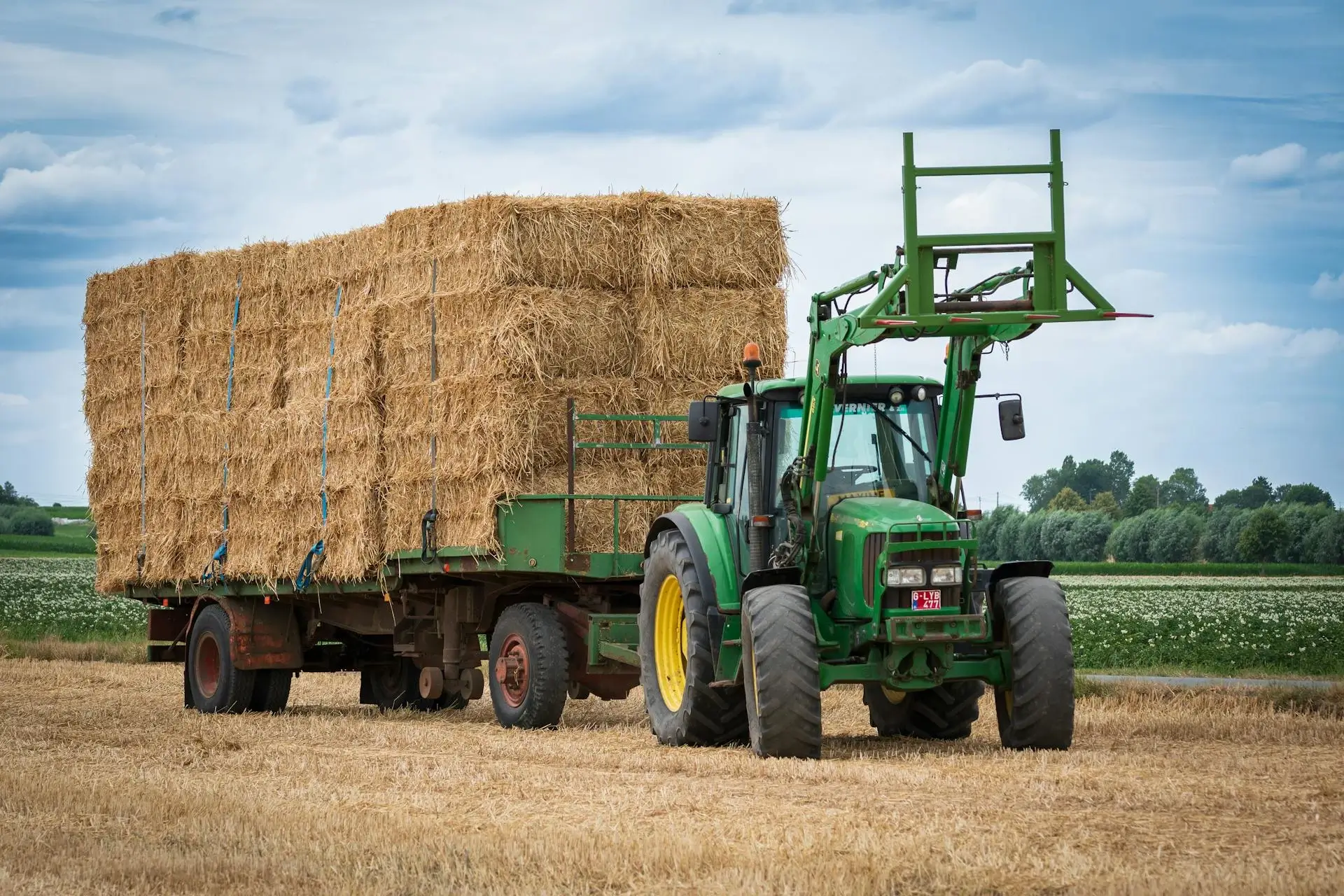 Bolsas para silo